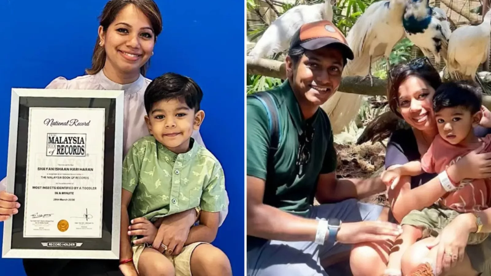 Malaysia Book of Records: Kanak-Kanak 2 Tahun Berjaya Namakan 30 Serangga Dalam Seminit