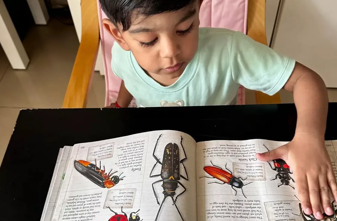 Kanak-Kanak 2 Tahun Ini Berjaya Namakan 30 Serangga Dalam Seminit, Cipta Nama Dalam Malaysia Book of Records