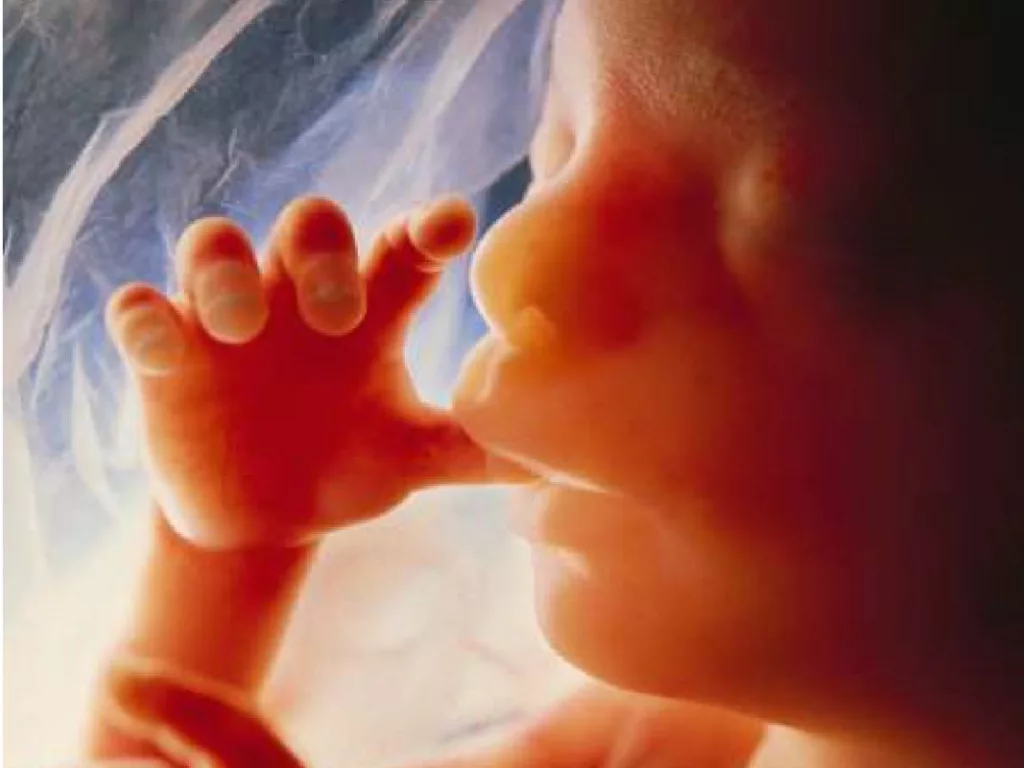 Nak Anak Bijak Sejak Dalam Kandungan? Ibu Hamil Perlu Tahu Ini!