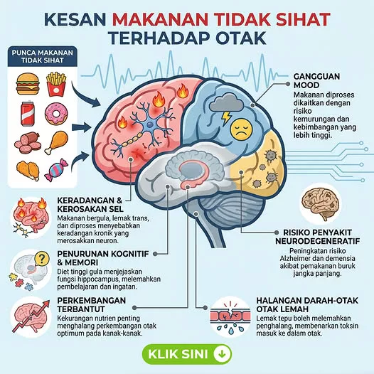 Makanan Tidak Sihat Jejaskan Otak Anak? Ini Peringatan Penting Pakar Otak Buat Ibu Ayah 8 Makanan Tidak Sihat Jejaskan Otak Anak? Ini Peringatan Penting Pakar Otak Buat Ibu Ayah