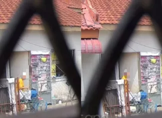 dera kanak-kanak 4 tahun