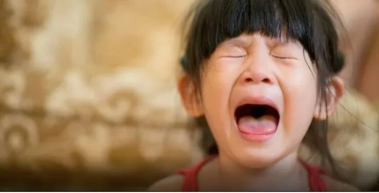 Anak Cerewet Makan Bukan Sekadar Mengada? Ini Tanda Bahaya Yang Ibu Ayah Tak Boleh Abaikan