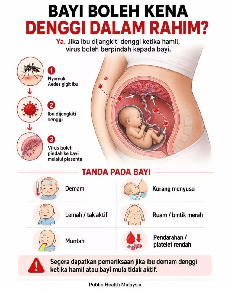 Bayi Baru Lahir Boleh Dijangkiti Denggi Dari Ibu, Jangan Ambil Mudah Jika Demam Ketika Hamil!