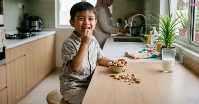 Kenapa Kekacang Baik Untuk Anak? Ini Tip Anak Suka Makan Kacang! Kenapa Kekacang Baik Untuk Anak?