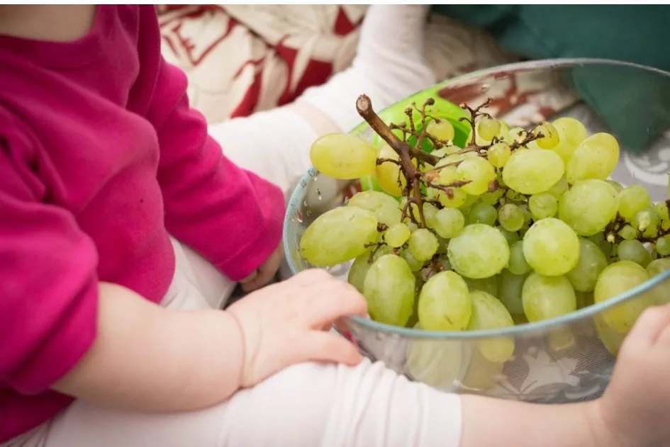 Cara Potong Buah Anggur Dengan Betul, Elak Risiko Kanak-Kanak Tercekik 8 Cara Potong Buah Anggur Dengan Betul, Elak Risiko Kanak-Kanak Tercekik