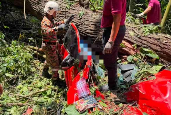 Pokok Tumbang Janda Baik: Tragedi Pilu Ragut Empat Nyawa Termasuk Kanak-Kanak 6 Pokok Tumbang Janda Baik: Tragedi Pilu Ragut Empat Nyawa Termasuk Kanak-Kanak