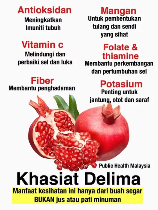 Khasiat Buah Delima Untuk Anak: 6 Manfaat 'Power' Untuk Kesihatan & Perkembangan Otak