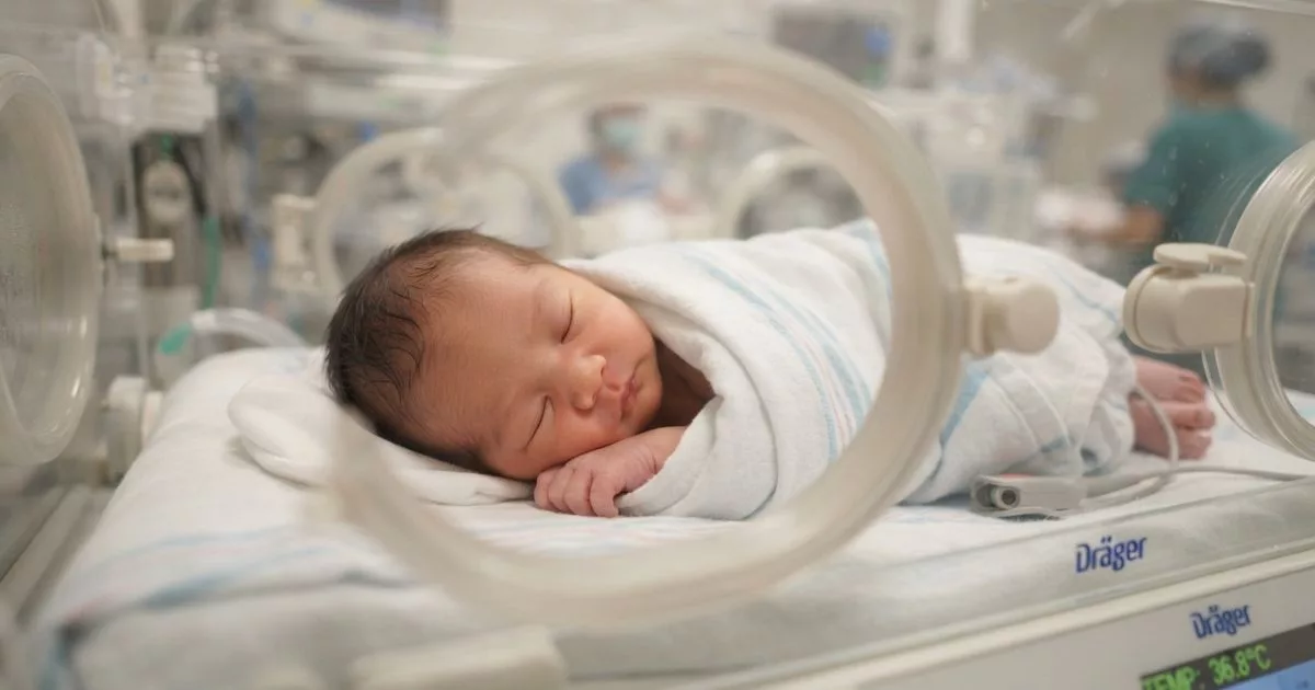 Bayi Baru Lahir Kini Dapat RM3,000, Kerajaan Melaka Perkenal Bantuan Pendidikan Anak Asnaf! 3 Bayi Baru Lahir Kini Dapat RM3,000