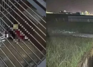 Empat Kanak-Kanak Lemas Di Kulim, Hasrat Ambil Bola Berakhir Tragedi! Empat Kanak-Kanak Lemas Di Kulim, Hasrat Ambil Bola Berakhir Tragedi!