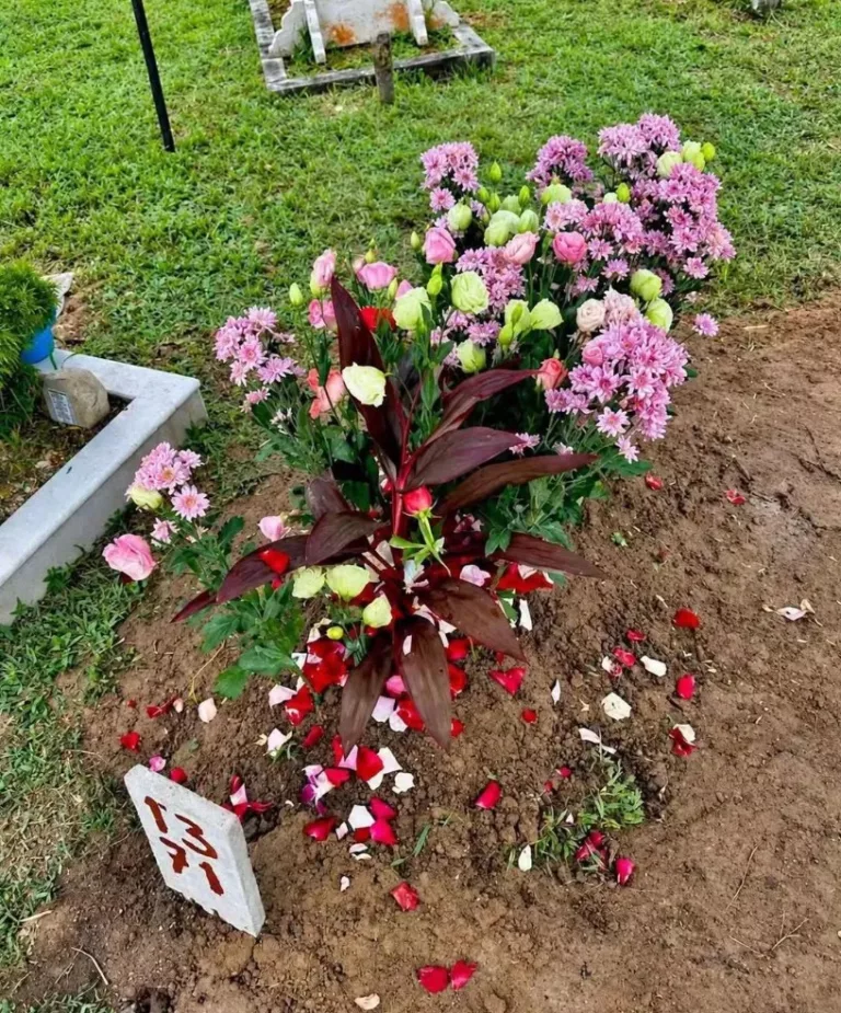 Bapa Asiah Mahu Keadilan & Tindakan Tegas, Adik Masih Tercari-Cari Kakak! 5 Bapa Asiah Mahu Keadilan & Tindakan Tegas, Adik Masih Tercari-Cari Kakak