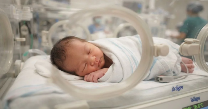 bayi lahir